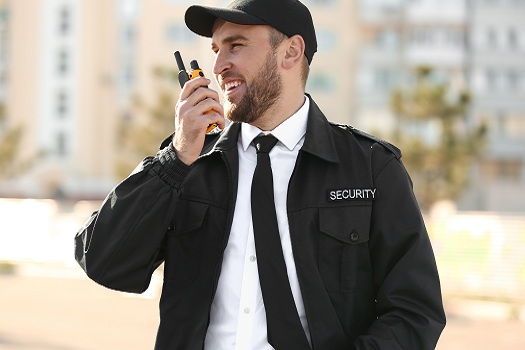 Why Do We Need Security Guards? | Advantages of Security Guards