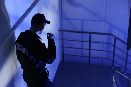 Reasons to Hire an Overnight Security Guard in Santee, CA