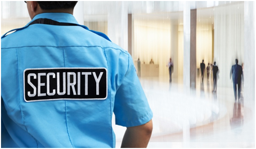  mobile patrol security guards in Dana Point, CA
